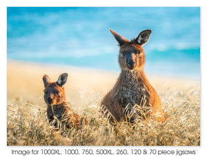 Little One, Kangaroo Island SA
