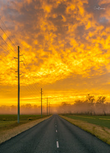 Road to a New Day - Somerset QLD