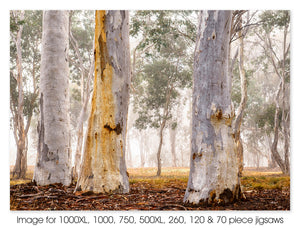 Ghost Gums, Canberra ACT