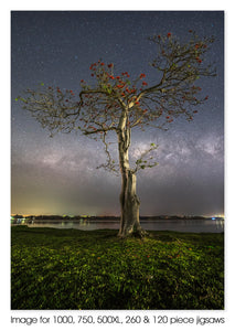 Pelican Tree & Milky Way, NSW
