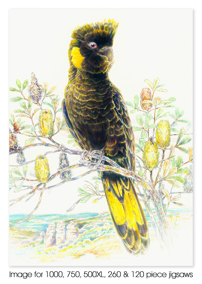 Yellowtailed Black Cockatoo Jigsaw Gallery