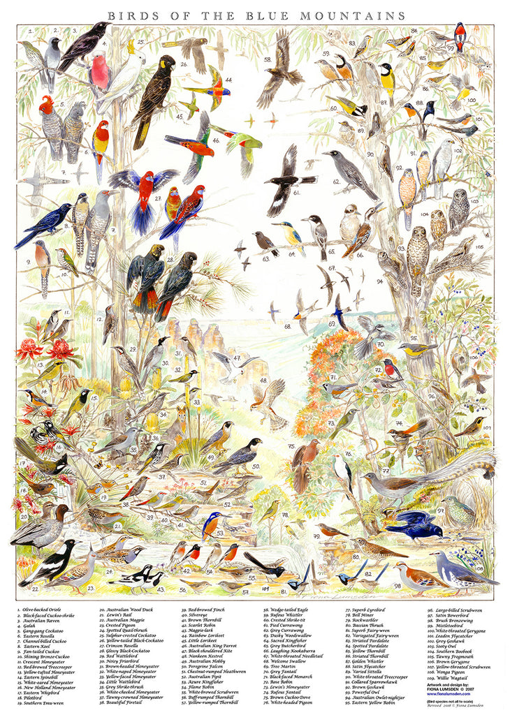 Regional Bird ID Art Posters