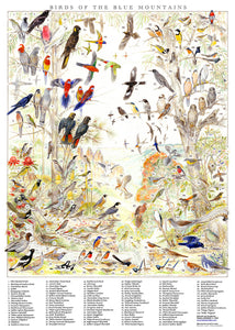 Regional Bird ID Art Posters