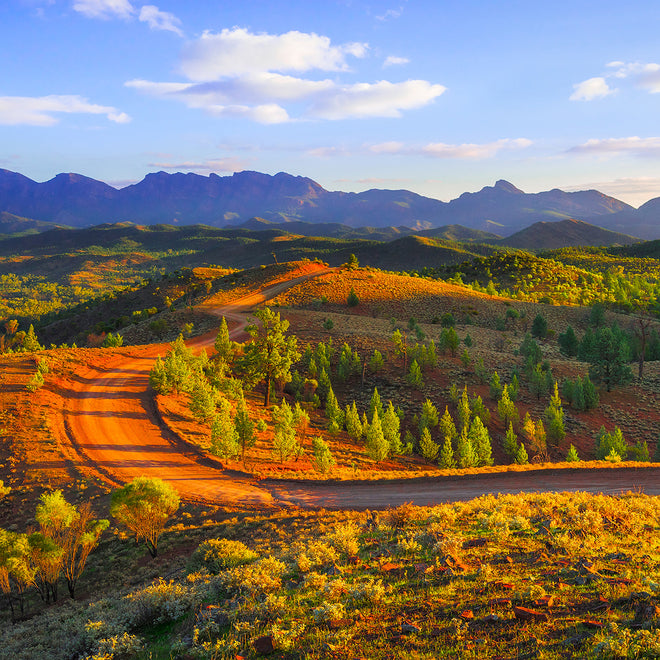 Flinders Ranges