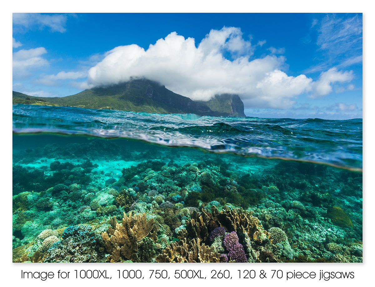 Coral gardens, Lord Howe Island, NSW