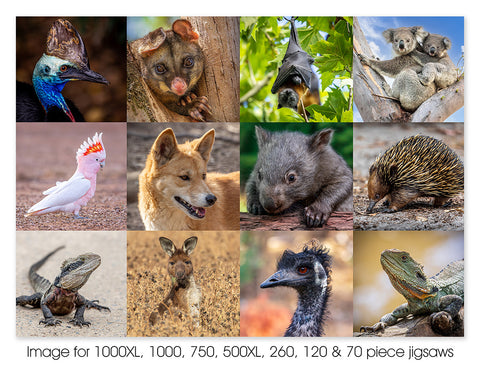 Australian Native Fauna 02