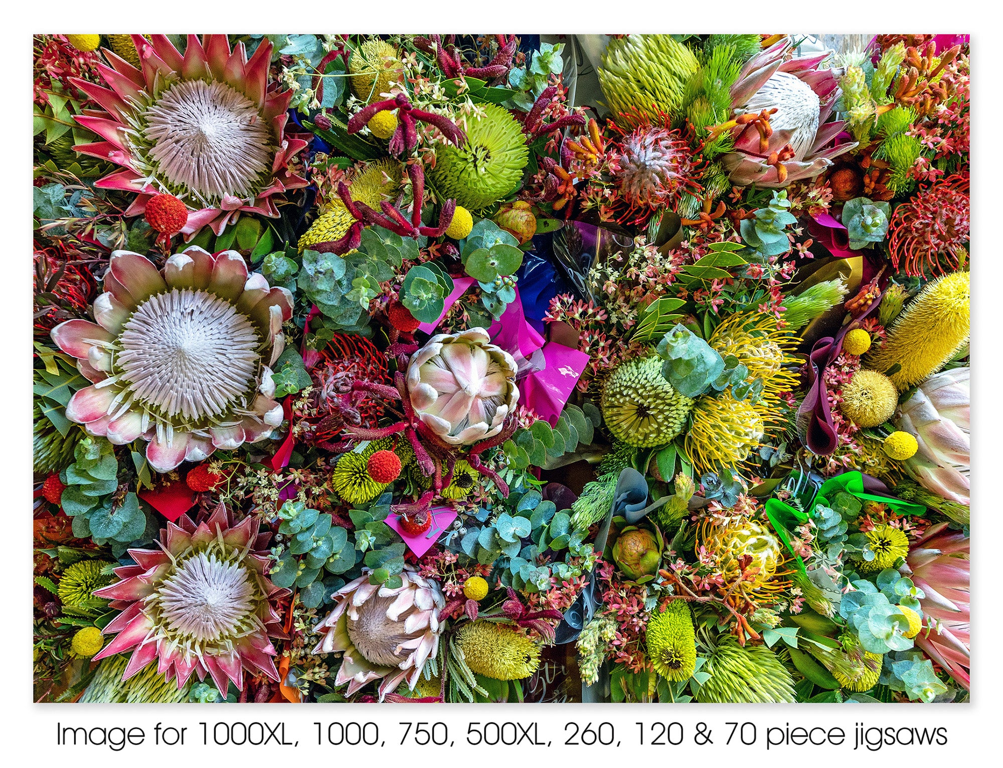 Australian Summer Flowers