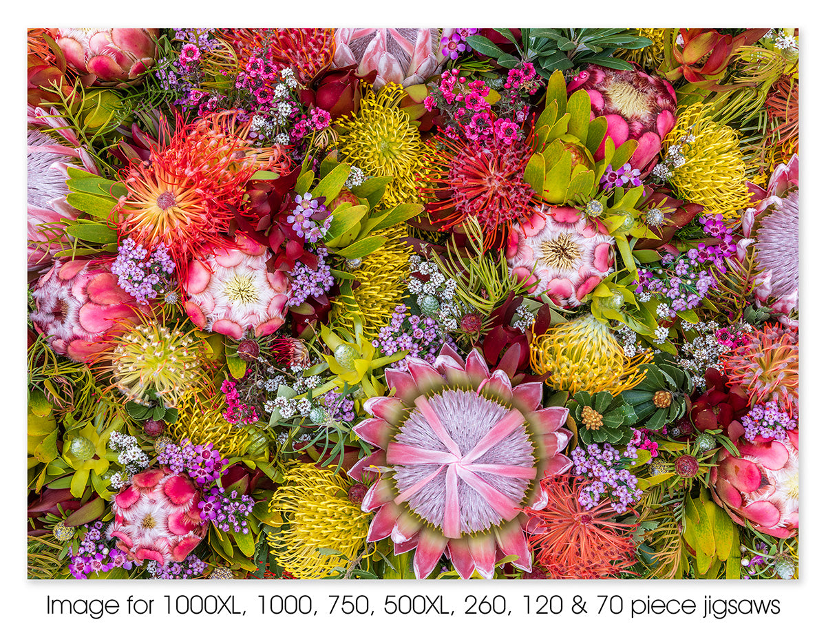 Australian Summer Wildflowers