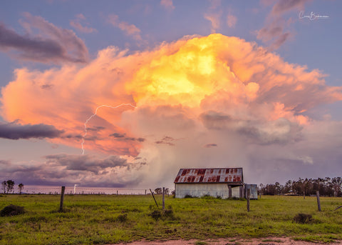 Bursting with Colour and Bolts - Lockyer Valley QLD