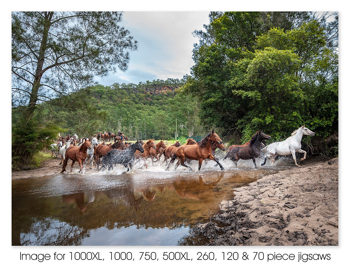 Brumby Crossing