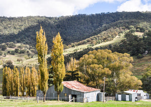 Country Farm, Central West NSW