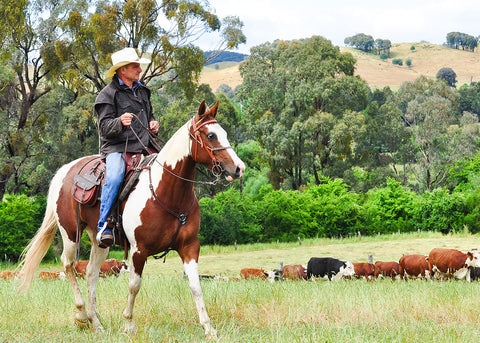 Cowboy Drover, Country VIC