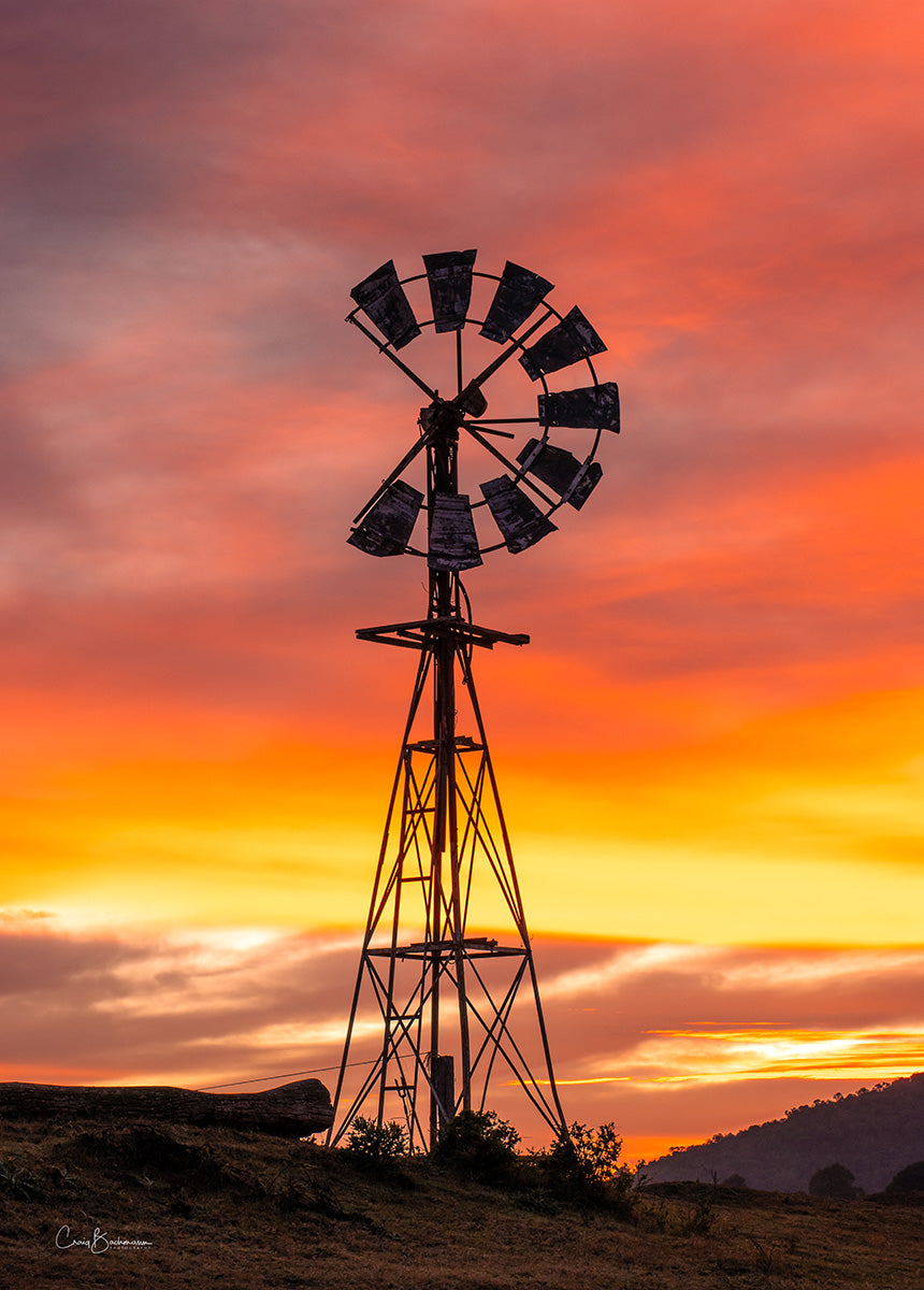 Defiant - Lockyer Valley QLD