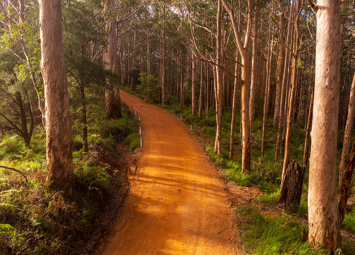 Shelley Beach Rd