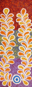 Kaliny-kalinypa / Ultukunpa Jukurrpa - Honey Grevillea Dreaming 02