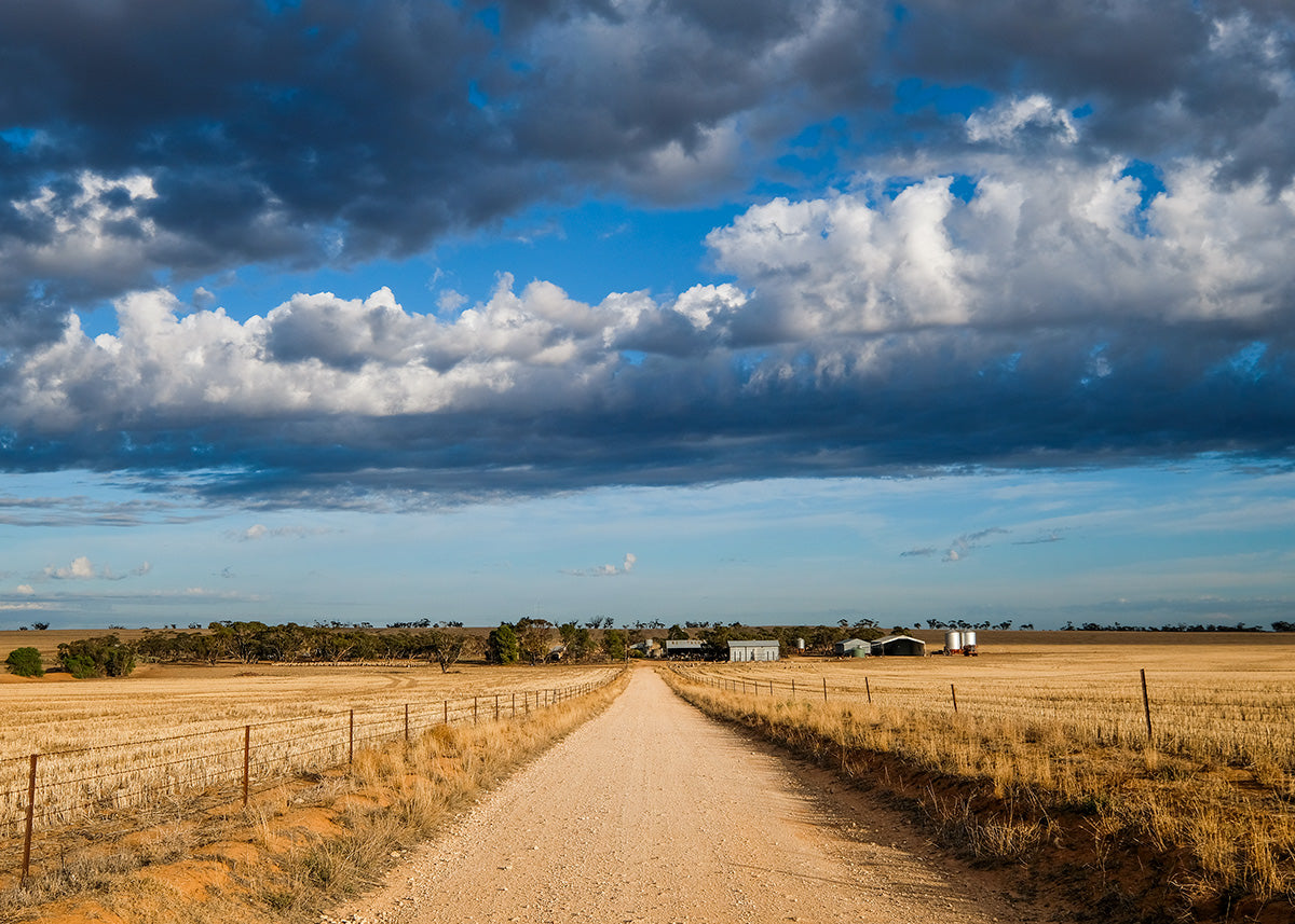 Mallee Farm Scene, near Hopetoun