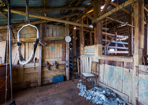 Morton Plains Shearing Shed