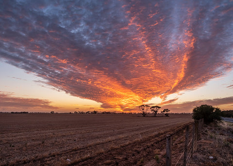 Mallee Sunrise near Sea Lake