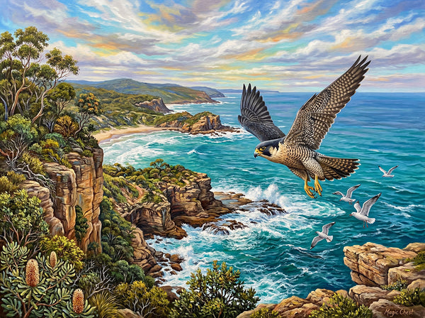 Peregrine Falcon (Landscape)
