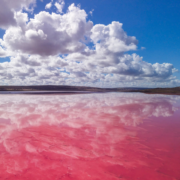 Pink Lake Clouds, Port Gregory WA