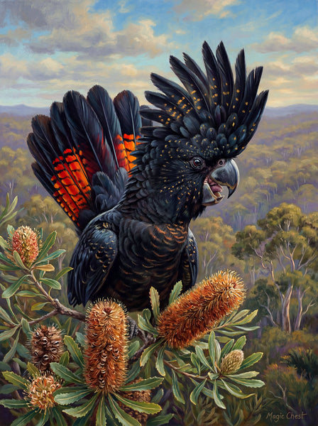 Red Tailed Black Cockatoo (Portrait)