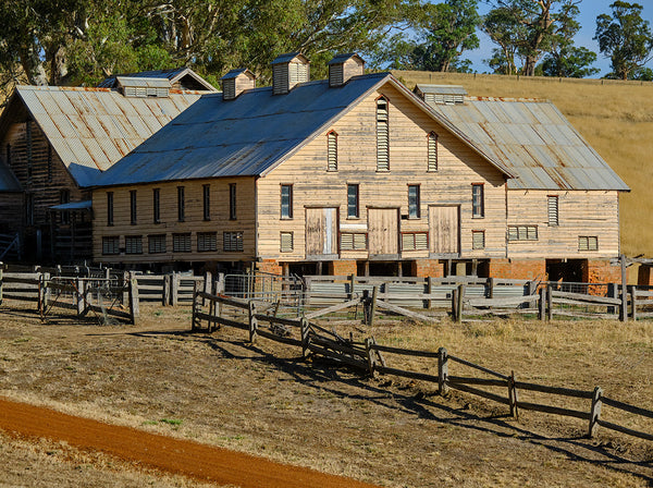 The Western District - Set of 4 Placemats & Coasters