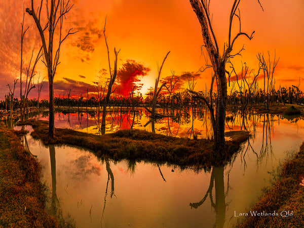 Sunset - Lara Wetlands