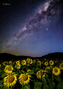 Ten Chain of Happiness - Lockyer Valley QLD