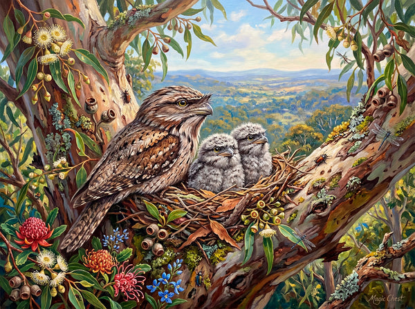 Tawny Frogmouth Family (Landscape)
