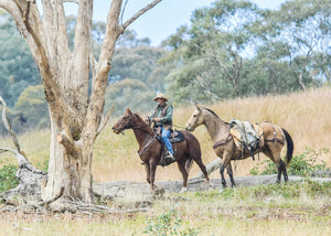 The Packsaddler, Corryong VIC