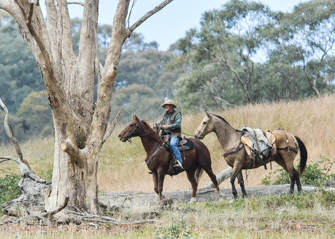The Trusty Steeds, Corryong Victoria