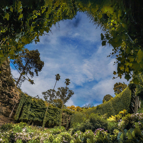 Umpherston Sinkhole - South Australia