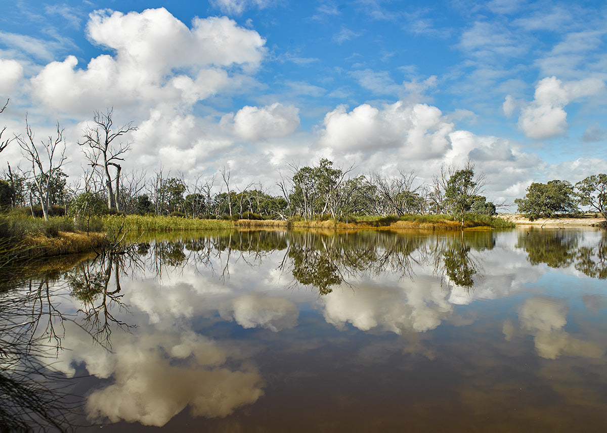 Wimmera River, Jeparit 01