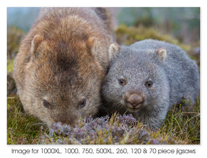 Wombats