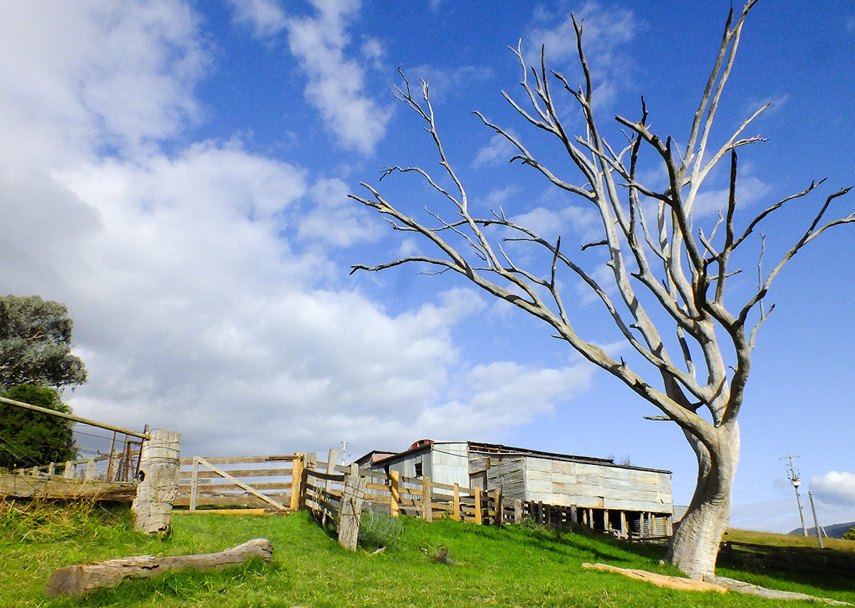 Woolshed Views, Victoria