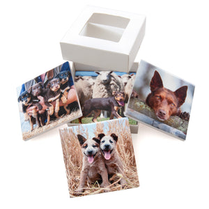 Working Dogs - 4 x Ceramic Coasters