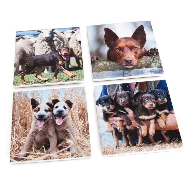 Working Dogs - 4 x Ceramic Coasters