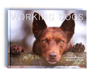 Working Dogs