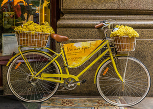 Yellow Bicycle - Block Arcade - Melbourne