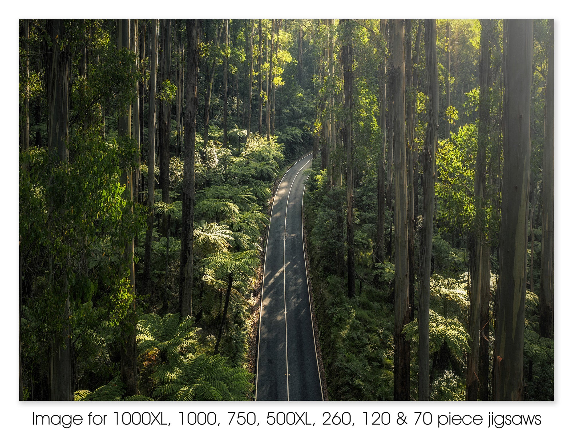 Black Spur, Dandenong Ranges VIC