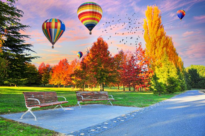 Canberra Autumn – Jigsaw Gallery