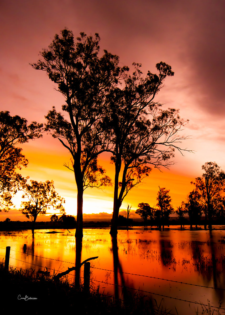 Flood of Colours - Lockyer Valley QLD