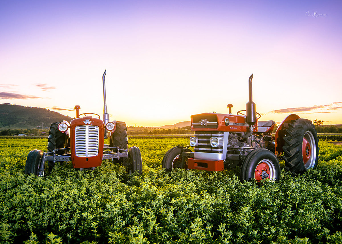 Fergie Sunset - Lockyer Valley QLD