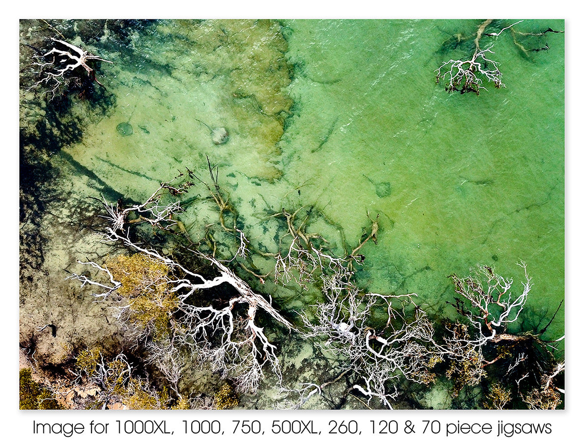 Hiding Stingrays - Herald Bight, Shark Bay WA