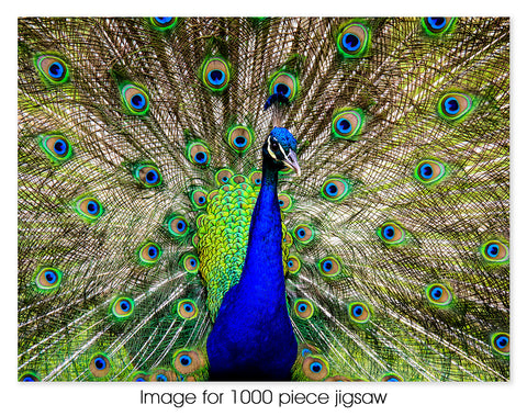 Peacock