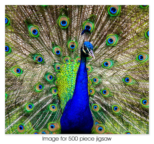 Peacock