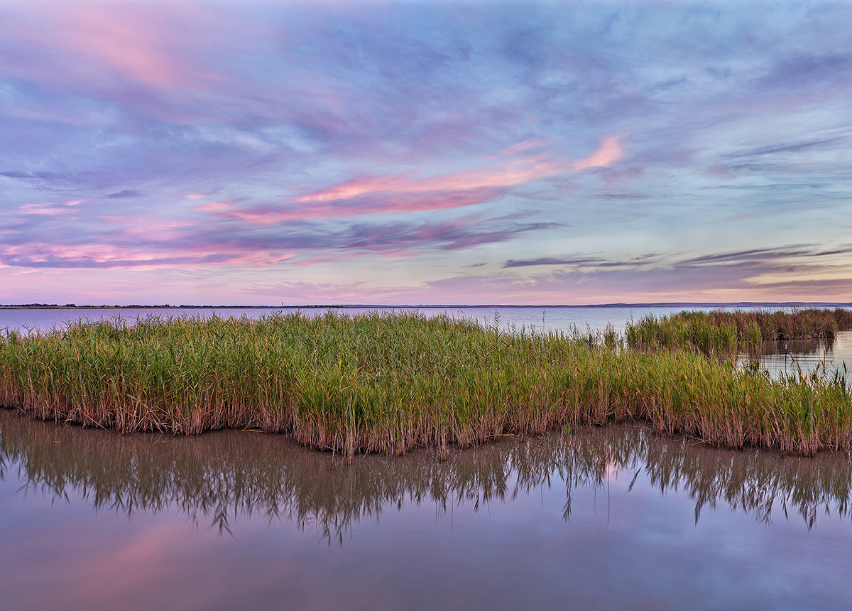 Lake Albert