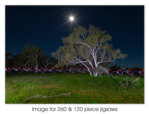 Lightpainting amongst the Gum Trees, Wooramel WA
