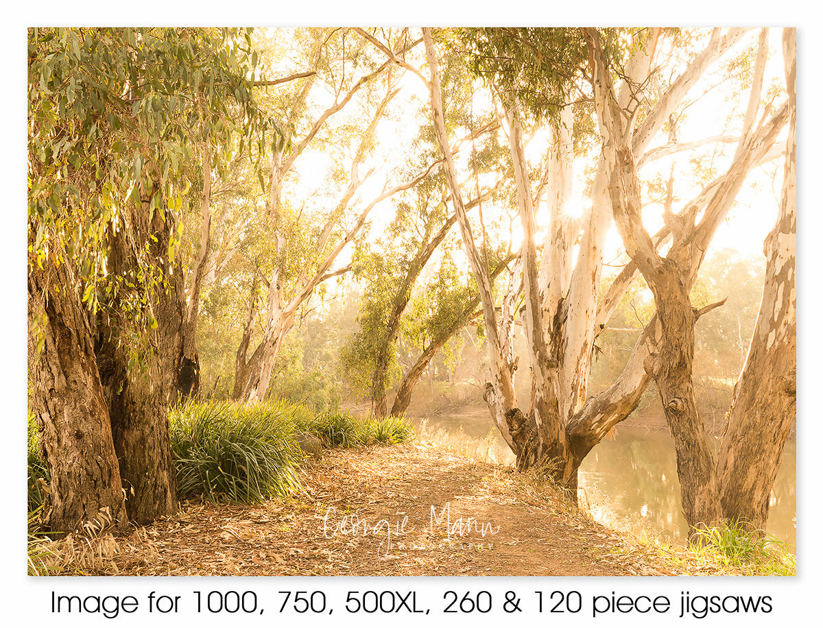 Morning Light, Wagga Wagga NSW