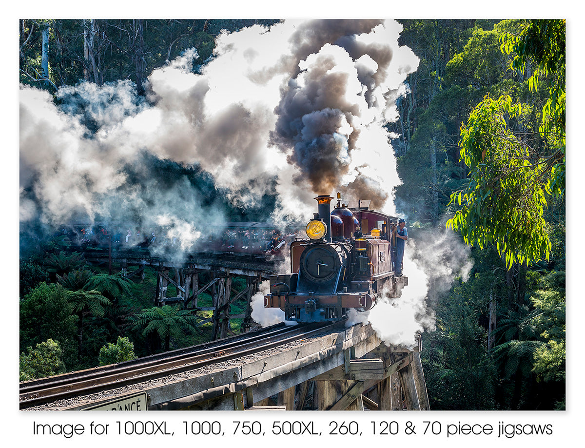 Puffing Billy, Dandenong Ranges VIC